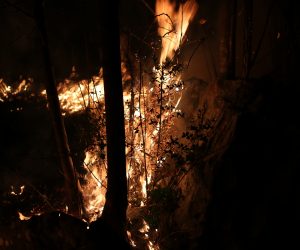 Vrgorac, 12.02.2019. - Po¾ar u ¹umi kod Vrgorca izbio je u utorak u veèernjim satima i pro¹irio se prema vijaduktu Kotezi na autocesti A1, a vatru gase vatrogasci vrgoraèkog Dobrovoljnog vatrogasnog dru¹tva.
foto HINA/ Jure DIVIÆ/ ml