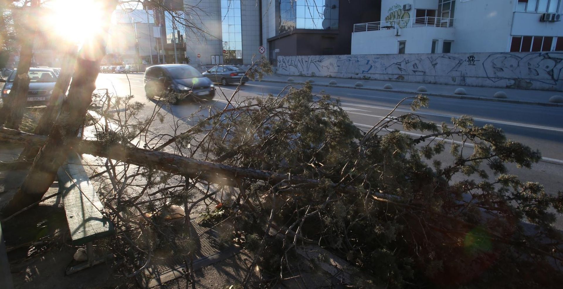 Split: Nakon olujnih udara bure najviše stradala stabla i drveni električni stupovi 23.02.2019., Split - Splitski vatrogasci i razne sluzbe odrzavanja od ranog jutra imaju pune ruke posla. Nakon olujnih udara bure tijekom noci najvise su stradali borovi i drveni elektricni stupovi. Photo: Ivo Cagalj/PIXSELL