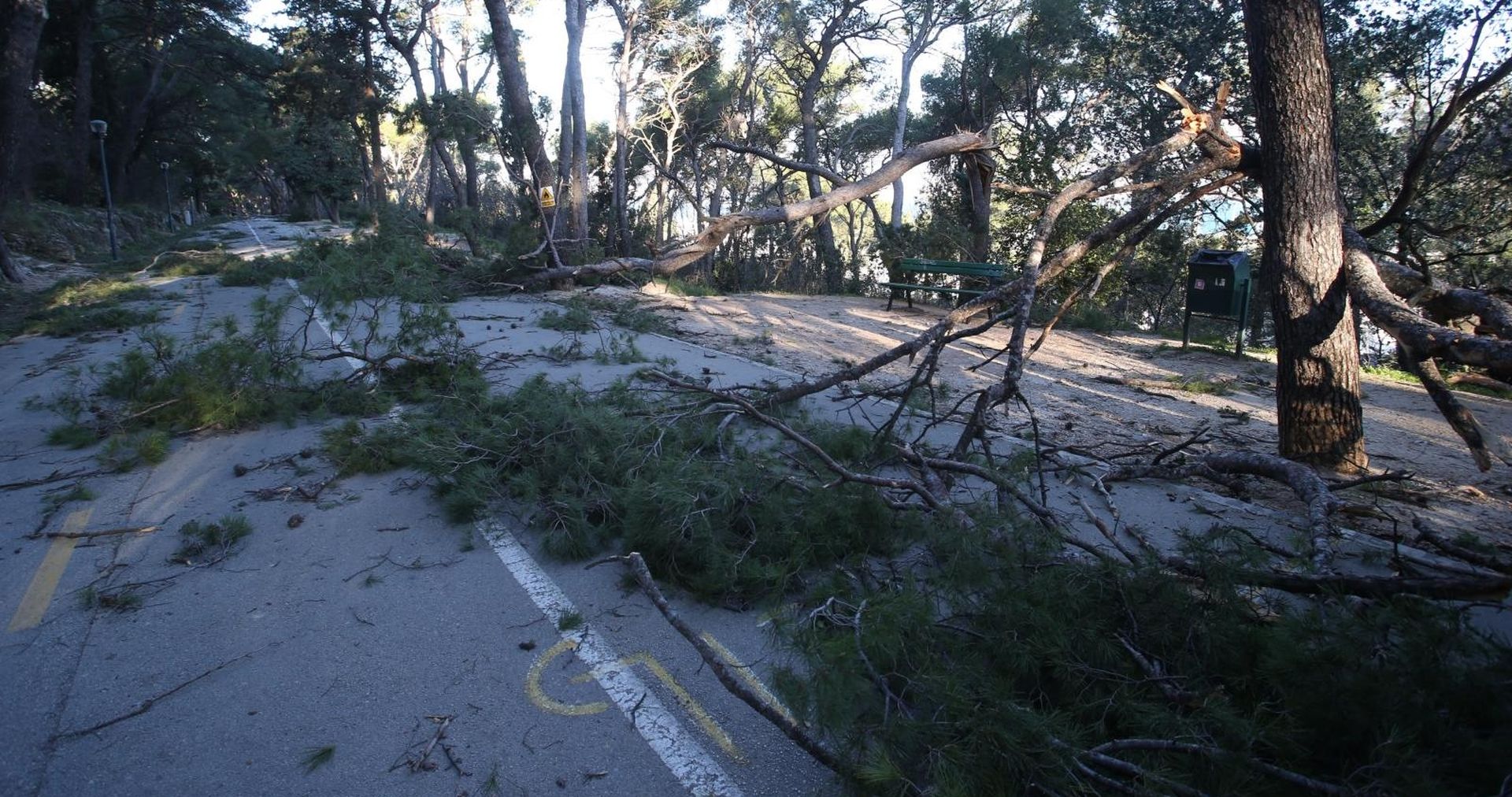 Split: Nakon olujnih udara bure najviše stradala stabla i drveni električni stupovi 23.02.2019., Split - Splitski vatrogasci i razne sluzbe odrzavanja od ranog jutra imaju pune ruke posla. Nakon olujnih udara bure tijekom noci najvise su stradali borovi i drveni elektricni stupovi. Photo: Ivo Cagalj/PIXSELL