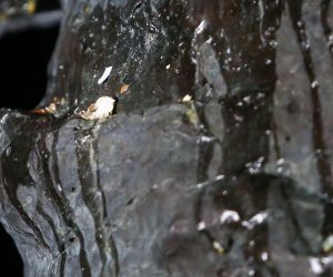 Zagreb: Nepoznati počinitelj bacio jaja na spomenik Franji Tuđmanu 14.02.2019., Zagreb - Broncani spomenik prvom hrvatskom predsjedniku Franji Tudjmanu. Nepoznati pocinitelj bacio jaja na spomenik Franji Tudjmanu. 

Photo: Luka Stanzl/PIXSELL