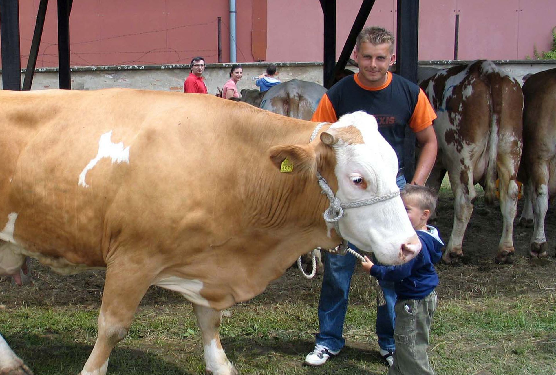 Slavonski Brod, 29.5.2011 - U Slavonskom Brodu odrana je danas 14. Meðuupanijska stoèarska izloba, na kojoj su uzgajivaèi iz Brodsko-posavske, Poeko-slavonske, Vukovarsko-srijemske i Osjeèko-baranjske upanije na ocjenjivanje doveli vie od stotinu grla goveda, konja i svinja. Kod goveda titulu ampionskog grla zasluile su Grita, krava simentalske pasmine i Ceca, krava holstein friesian pasmine. Grita je u treæoj laktaciji proizvela 6.157,5 kilograma mlijeka, a vlasnitvo je Dinka Bileiæa iz Donjih Crnogovaca u Brodsko-posavskoj upaniji. Na slici Grita i Dinko Bileiæ.
foto FaH/ Marijan VRKLJAN/ ua