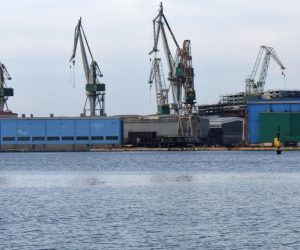 Pula: Kormoran gleda prema brodogradilištu Uljanik 27.01.2019., Pula - Kormoran rasirenih krila gleda prema brodogradilistu Uljanik. Photo: Dusko Marusic /PIXSELL