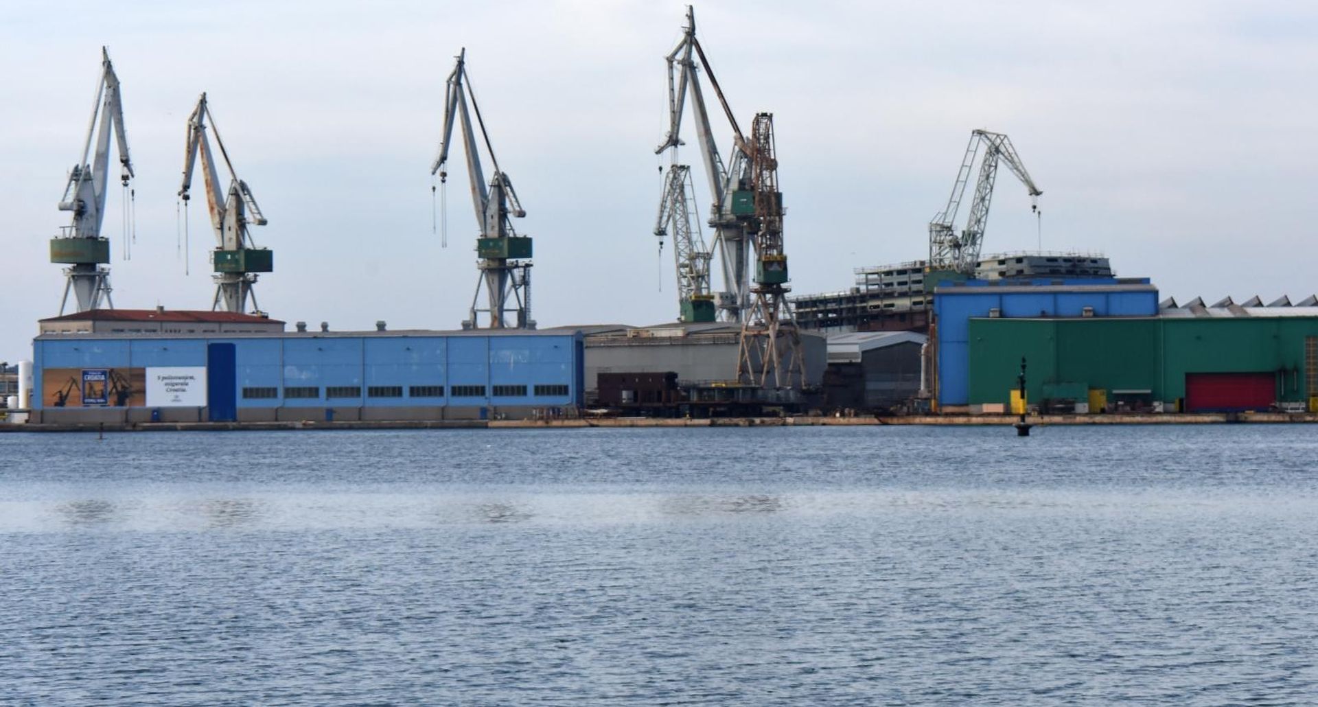 Pula: Kormoran gleda prema brodogradilištu Uljanik 27.01.2019., Pula - Kormoran rasirenih krila gleda prema brodogradilistu Uljanik. Photo: Dusko Marusic /PIXSELL