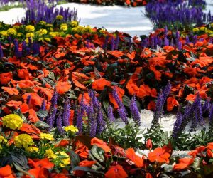 27.05.2018., Zagreb - Svecano otvorenje 53. medjunarodne vrtne izlozbe Floraart.
Photo: Sandra Simunovic/PIXSELL