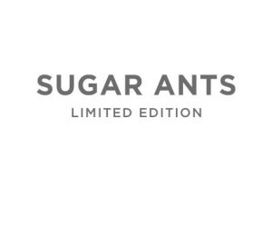 Sugar Ants