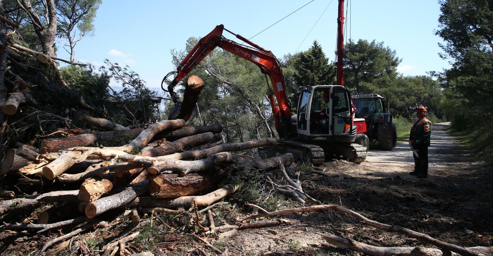 16.04.2019., Split - Radovi na sjeci i uklanjanju oboljelih stabala u Park sumi Marjan. Photo: Ivo Cagalj/PIXSELL