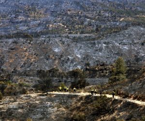 epa07682663 Firefighters inspect burnt land in Ribera d'Ebre, Tarragona, Catalonia, Spain, while the forest fire continues active in the area for four consecutive days, 29 June 2019. The forest fire, declared 26 June 2019 in Tarragona, has already burnt thousands of hectares of land reaching the province of Lleida.  EPA/JAUME SERRAT