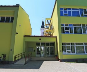 07.06.2019., Dalj - Osnovna skola Dalj. 
Photo: Davor Javorovic/PIXSELL