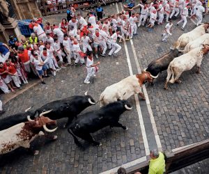 epa07700725 Bulls of the Puerto de San Lorenzo bull ranch run down a street during the traditional San Fermin bull run in Pamplona, Spain, 07 July 2019. The festival, locally known as Sanfermines, is held annually from 06 to 14 July in commemoration of the city's patron saint. Hundreds of thousands of visitors from all over the world attend the fiesta, with many of them physically participating in the highlight event - the running of the bulls, or encierro.  EPA/JAVIER LIZON