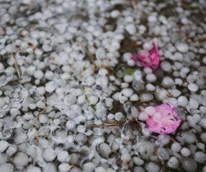 22.05.2019., Zagreb - U popodnevnim satima Zagreb je pogodilo olujno nevrijeme a u nekim dijelovima grada pala je tuca velicine graska. 
Photo: Tomislav Miletic/PIXSELL