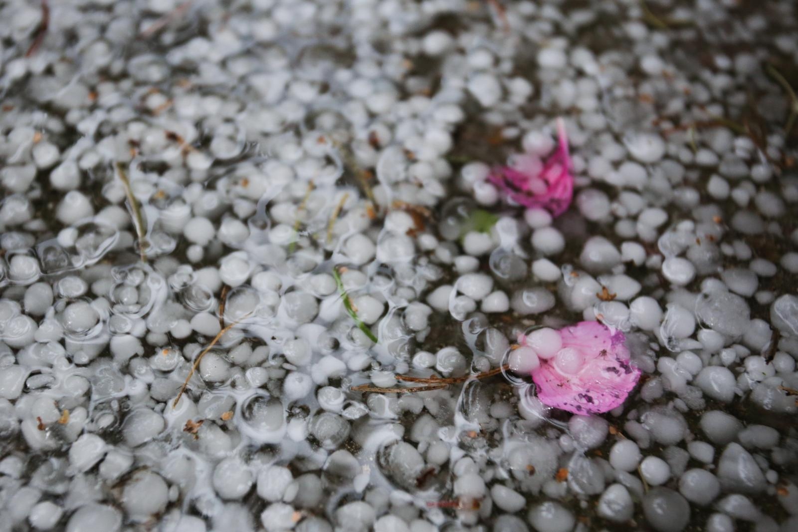 22.05.2019., Zagreb - U popodnevnim satima Zagreb je pogodilo olujno nevrijeme a u nekim dijelovima grada pala je tuca velicine graska. 
Photo: Tomislav Miletic/PIXSELL