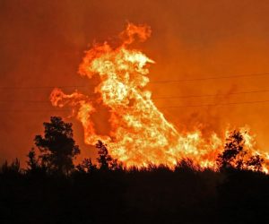 27.07.2019.,Sibenik - U Mihaljevicima, zaseoku u blizini Bilica vatrena stihija je dosla do ceste.Zbog toga zatvoren je i autoput A1 od cvora Pirovac do Vrpolja ali i dionioca ceste od Tromilje prema Bilicama. Policija je blokirala podrucje.
Photo: Dusko Jaramaz/PIXSELL