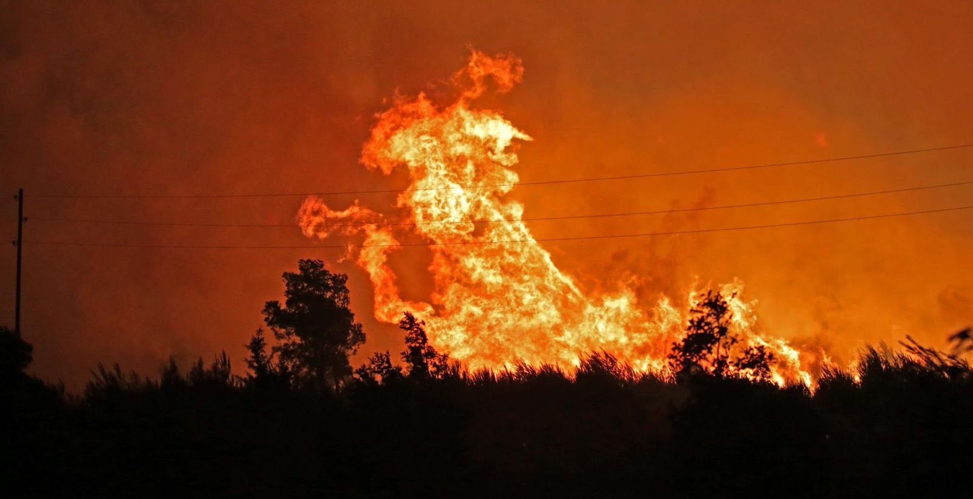 27.07.2019.,Sibenik - U Mihaljevicima, zaseoku u blizini Bilica vatrena stihija je dosla do ceste.Zbog toga zatvoren je i autoput A1 od cvora Pirovac do Vrpolja ali i dionioca ceste od Tromilje prema Bilicama. Policija je blokirala podrucje.
Photo: Dusko Jaramaz/PIXSELL