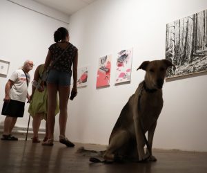 Zagreb, 01.8.2019 -  Otvorenje Godišnje izložbe članova HDLU-a, revijalna izložba koja prema svojoj dugoj tradiciji daje na uvid tekuću produkciju, ostvarenu u svim disciplinama - od klasičnih do novomedijskihfoto.
 HINA/ Admir BULJUBAŠIĆ/ abu