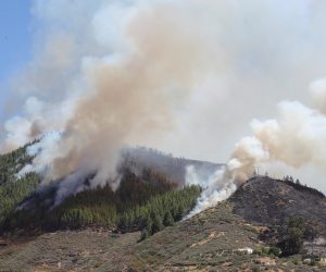 epa07766556 Smoke rises from a forest fire in Artenara, Gran Canaria, Canary Islands, 10 August 2019.  EPA/ELVIRA URQUIJO A.