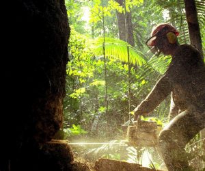 epa07772662 An undated image made available on 14 August 2019 shows a worker cuts down a tree in the Amazon forest in Brazil (issued 14 August 2019). Deforestation in the Brazilian Amazon reached 2,254.8 square kilometers in July 2019, an area 278 percent larger compared to the same month last year, according to the National Institute of Space Research (INPE). Inpe had already reported an 88-percent increase in deforestation in June compared to the same month in 2018, data that was publicly questioned by Brazilian President Bolsonaro. The publication led to the dismissal of the institute's head Galvao and the appointment of Darton Policarpo Damiao, a Brazilian Air Force (FAB) officer as interim head. Inpe's publicly accessible Real-Time Amazon Deforestation Detection System (Deter) shows that the deforestation registered in July 2019 is equivalent to more than a third of the total area decimated in the last 12 months.  EPA/MARCELO SAYAO Brazil Out