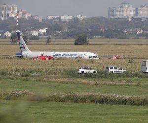 epa07774189 A general view shows a Ural Airlines A-321 passenger plane on the site of its emergency landing in a field outside Zhukovsky airport in Ramensky district of Moscow region, Russia, 15 August 2019. A-321 with 226 passengers and seven crew members on board en-route from Moscow to Simferopol made emergency landing after a right engine failure following the plane's colliding with seagulls shortly after take-off. Ten people were hospitalized following the accident.  EPA/SERGEI ILNITSKY