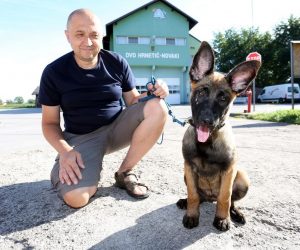 17.08.2019., Karlovac - Nakon tragicnog uginuca potraznog psa DVD-a Karlovac njemackog ovcara Rexa, dobili su kujicu Foxy. Dvoipolmjesecna kujica belgijskog ovcara poklon je obitelji Vidovic iz Pokupskog. Vlasnik Dejan Ranitovic ne skriva odusevljenje psom koji ce biti obucen za potraznog psa.
Photo: Kristina Stedul Fabac/PIXSELL
