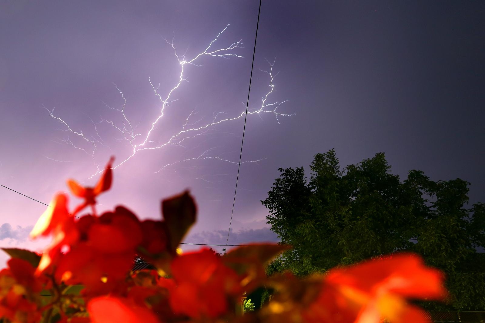 Munja parale nebo iznad Istre 22.07.2018., Festini - U noci sa subote na nedjelju, istru je pogodilo jako grmljavinsko nevrijeme.
Photo: Borna Filic/PIXSELL