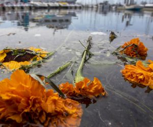 epa07815472 Flowers memorializing fire victims float in the water near the docks of Truth Aquatics after its 75-foot Conception commercial diving boat burned and sank near Santa Cruz Island, offshore from Santa Barbara, California USA, 03 September 2019. According to reports, the US Coast Guard announced the suspension of search and rescue mission for the victims of the boat fire. 20 bodies were recovered and 14 others missing.  EPA/DAVID MCNEW