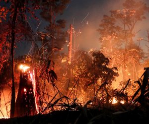 epa07831600 A fire burns in a in Porto Velho, Brazil, 09 September 2019. According to the National Space Research Institute (INPE) of Brazil, the Brazilian Amazon lost 1,698 square kilometers of its vegetation cover in the month of August, an area 222 percent higher than deforested land in the same month of 2018, 526 square kilometers.  EPA/FERNANDO BIZERRA JR