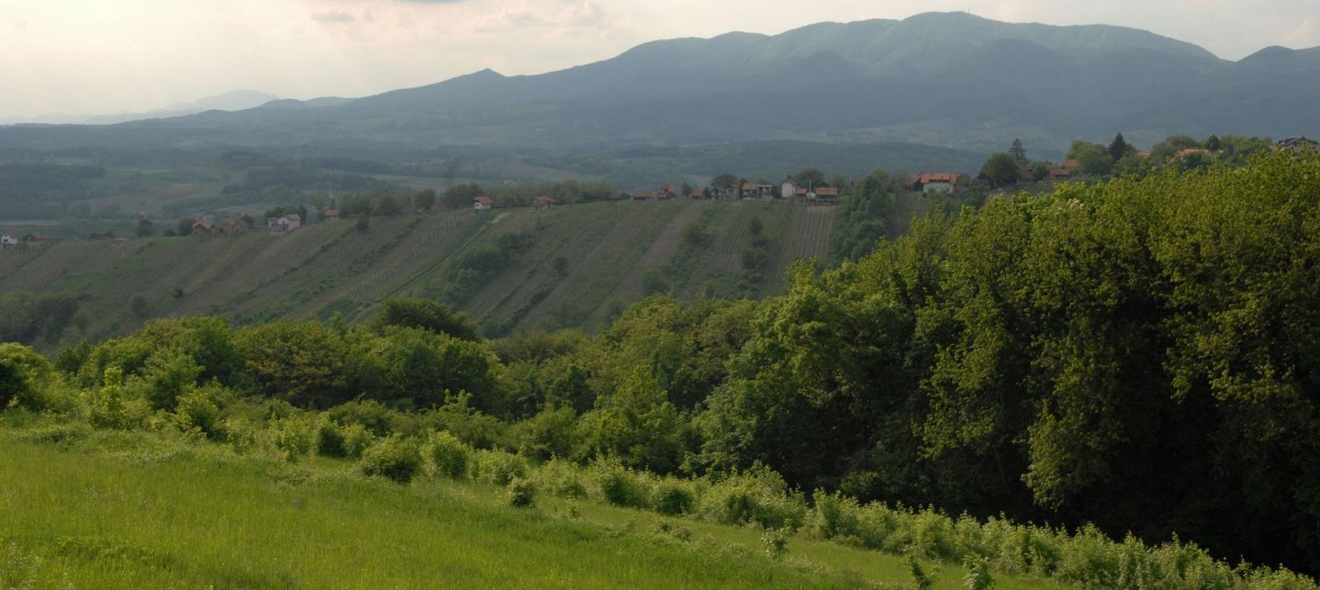 09.05.2013., Vinski Vrh, Hrascina - U Opcini Hrascina izmedju istoimenog sela i Opcine Breznicki Hum nalazi se brdo Vinski Vrh s najvecim vinogradima u Hrvatskom Zagorju, na kojem je zasadjeno preko 120.000 trsova vinove loze, a svaki prolaznik ili posjetitelj moze uzivati u jednom od najljepsih pogleda na Hrvatsko Zagorje i okolicu. 
Photo: Matija Topolovec/PIXSELL