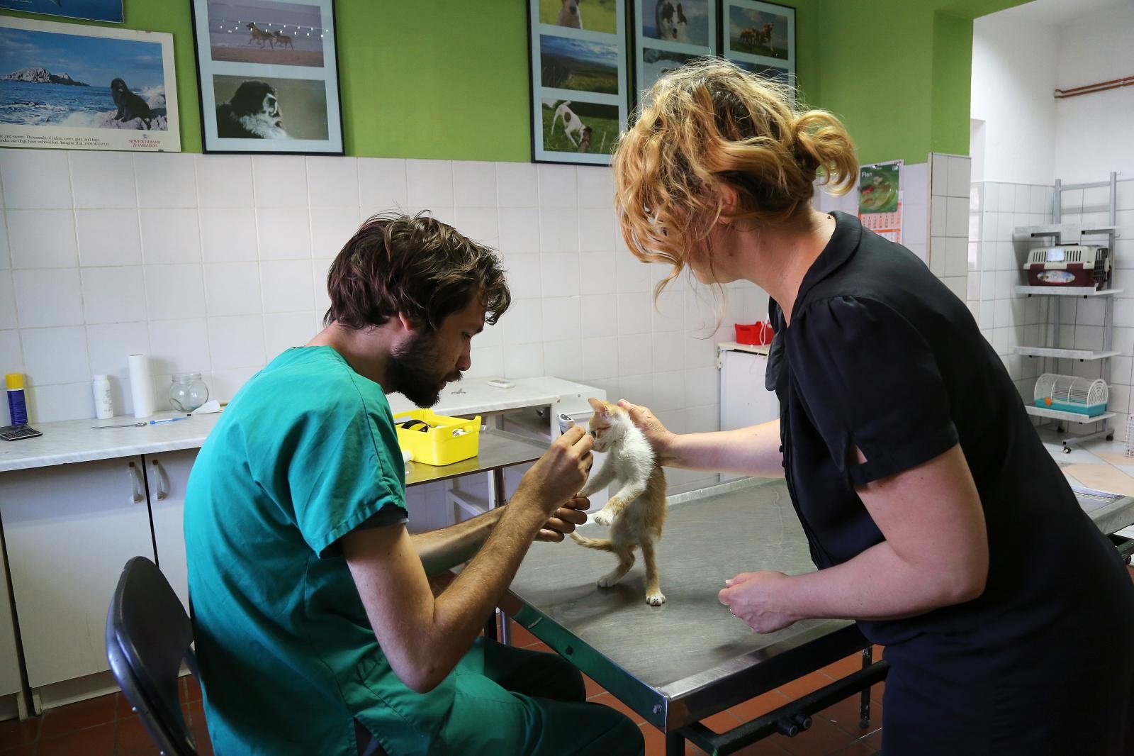 14.07.2017., Osijek - Veterinar Tomislav Deze i u slobodno vrijeme nesebicno pomaze zivotinjama, a kod kuce ima psa "na kotacima", zvijezdu Facebooka koju prati 11 000 ljudi. 
Photo: Marko Mrkonjic/PIXSELL