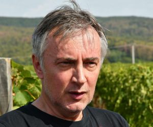 17.09.2019., Mitrovac - Berba grozdja u vinogradu predsjednickog kandidata Miroslava Skore u Mitrovcu pokraj Kutjeva. Photo: Ivica Galovic/PIXSELL