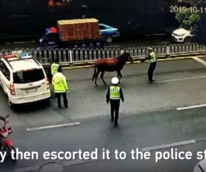 Screenshot YouTube
