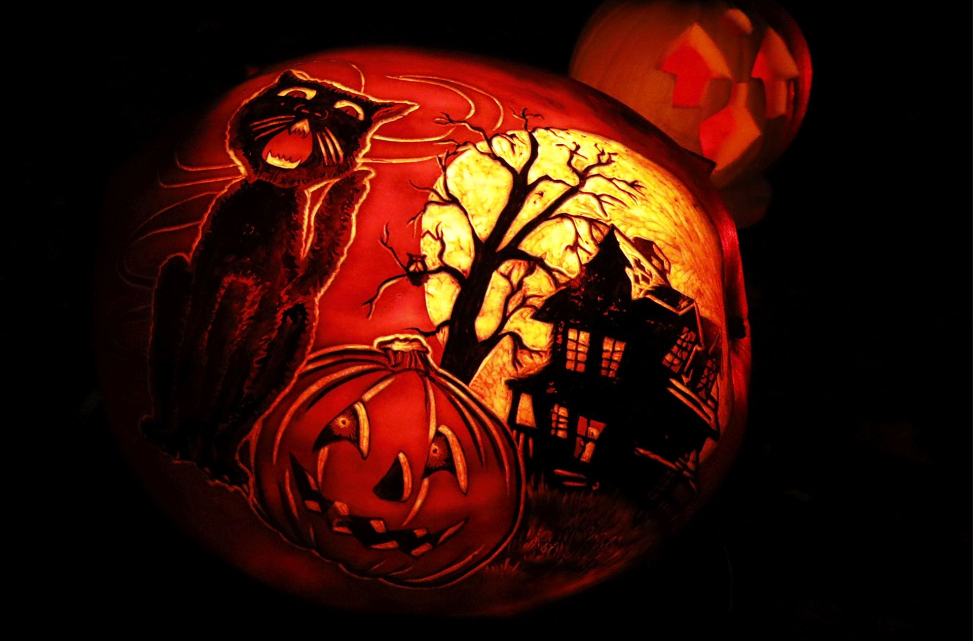 epa07950230 A pumpkins are displayed during the Night of the 1,000 Jack-o'-Lanterns on Governors Island in New York, USA, 25 October 2019. The Night of the 1,000 Jack-o'-Lanterns sees some of the USA's best pumpkin sculptors carve pumpkins to celebrate the lead up to Halloween.  EPA/JASON SZENES