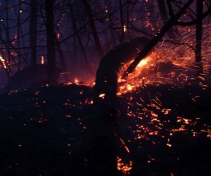 epa07981110 Embers are seen from a burning tree as a bushfire burns close to homes on Railway Parade in Woodford, New South Wales (NSW), Australia, 08 November 2019. Hot, windy conditions have seen bushfires burn out of control across parts of New South Wales, with 15 emergency warnings currently in effect in the state.  EPA/DAN HIMBRECHTS AUSTRALIA AND NEW ZEALAND OUT