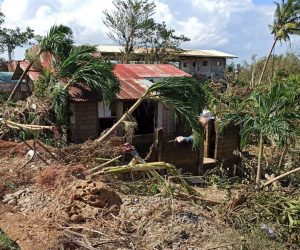 epa08090598 Toppled coconut trees rest on top of a home in the typhoon-hit town of Balasan, Ilo-Ilo province, Philippines, 26 December 2019. According to media reports, Typhoon Phanfone, locally known as Ursula, lashed the central Philippines on Christmas Day killing at least 16 people and causing damage to homes and rice fields.  EPA/LEO SOLINAP