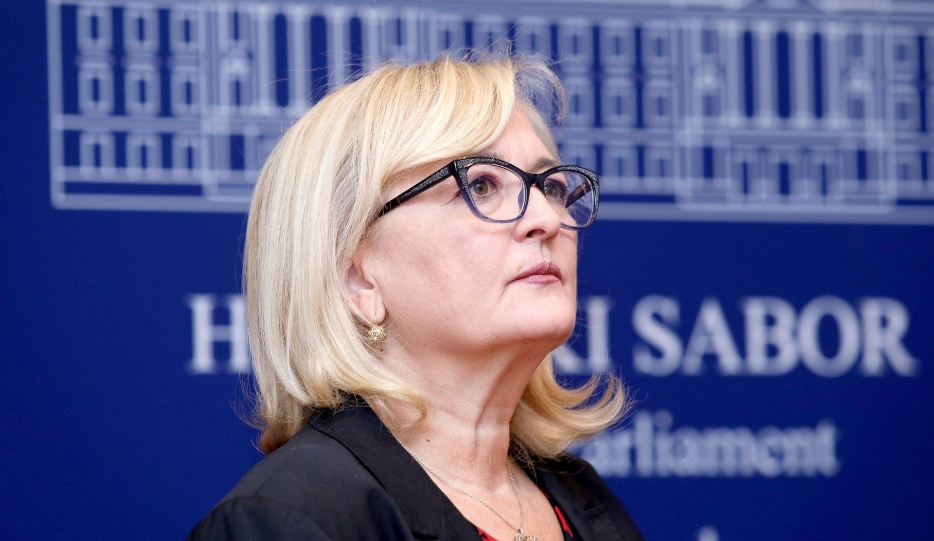 09.10.2019., Zagreb - U Saboru je odrzana konferencija za medije Mosta nezavisnih lista na temu "Doslo je vrijeme da napokon kazemo dosta! Razlozi za opoziv ministra zdravstva samo se gomilaju!". Ines Strenja. Photo: Patrik Macek/PIXSELL