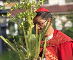 FILE PHOTO: Archbishop of Manila Luis Antonio Cardinal Tagle holds blessed palm fronds during Palm Sunday mass in front of the Cathedral church in Manila FILE PHOTO: Archbishop of Manila Luis Antonio Cardinal Tagle holds blessed palm fronds during Palm Sunday mass, marking the start of the Holy Week, in front of the Cathedral church in Manila March 20, 2016. REUTERS/Romeo Ranoco/File Photo Romeo Ranoco