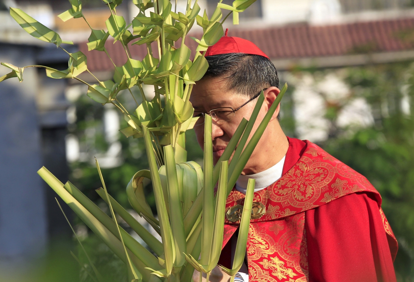 FILE PHOTO: Archbishop of Manila Luis Antonio Cardinal Tagle holds blessed palm fronds during Palm Sunday mass in front of the Cathedral church in Manila FILE PHOTO: Archbishop of Manila Luis Antonio Cardinal Tagle holds blessed palm fronds during Palm Sunday mass, marking the start of the Holy Week, in front of the Cathedral church in Manila March 20, 2016. REUTERS/Romeo Ranoco/File Photo Romeo Ranoco
