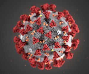 epa08181777 An undated handout photo made available by the Centers for Disease Control and Prevention (CDC) in Atlanta, Georgia, USA (issued 31 January 2020) of an illustration created at the CDC revealing ultrastructural morphology exhibited by the 2019 Novel Coronavirus (2019-nCoV). Note the spikes that adorn the outer surface of the virus, which impart the look of a corona surrounding the virion, when viewed electron microscopically. This virus was identified as the cause of an outbreak of respiratory illness first detected in Wuhan, Hubei Province, China.  EPA/CENTERS FOR DISEASE CONTROL AND PREVENTION HANDOUT  HANDOUT EDITORIAL USE ONLY/NO SALES