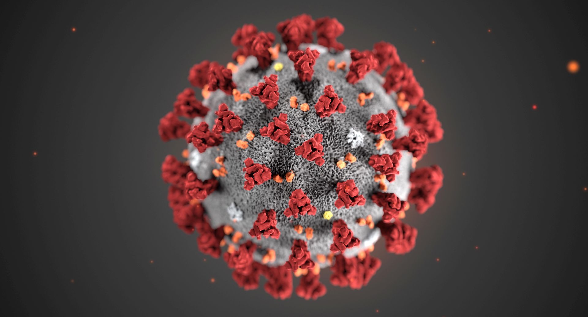epa08181777 An undated handout photo made available by the Centers for Disease Control and Prevention (CDC) in Atlanta, Georgia, USA (issued 31 January 2020) of an illustration created at the CDC revealing ultrastructural morphology exhibited by the 2019 Novel Coronavirus (2019-nCoV). Note the spikes that adorn the outer surface of the virus, which impart the look of a corona surrounding the virion, when viewed electron microscopically. This virus was identified as the cause of an outbreak of respiratory illness first detected in Wuhan, Hubei Province, China.  EPA/CENTERS FOR DISEASE CONTROL AND PREVENTION HANDOUT  HANDOUT EDITORIAL USE ONLY/NO SALES
