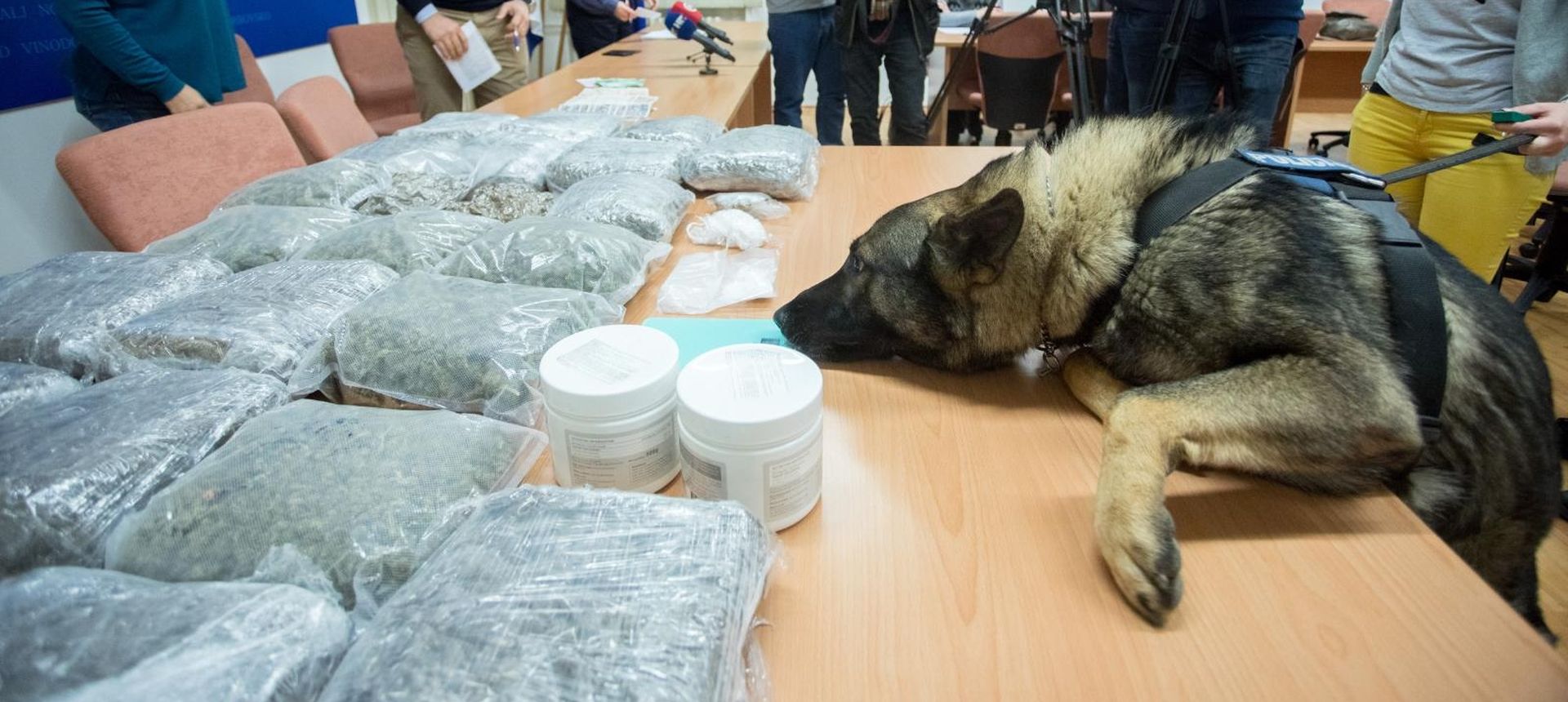 17.1.2020., Rijeka - Rijecka policija zaplijenila je 25 kilograma marihuane i 58 grama kokaina. Uhitili su dvojicu. Na konferenciji su predstavili i pojacanje - psa Kastra. Photo: Nel Pavletic/PIXSELL