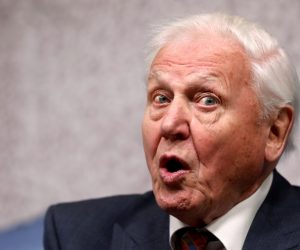 David Attenborough accepts the annual Chatham House award in London David Attenborough reacts as he attends the annual Chatham House award ceremony, in London, Britain November 20, 2019. REUTERS/Simon Dawson SIMON DAWSON