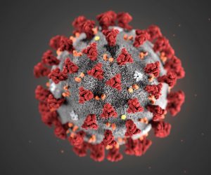 epa08181777 An undated handout photo made available by the Centers for Disease Control and Prevention (CDC) in Atlanta, Georgia, USA (issued 31 January 2020) of an illustration created at the CDC revealing ultrastructural morphology exhibited by the 2019 Novel Coronavirus (2019-nCoV). Note the spikes that adorn the outer surface of the virus, which impart the look of a corona surrounding the virion, when viewed electron microscopically. This virus was identified as the cause of an outbreak of respiratory illness first detected in Wuhan, Hubei Province, China.  EPA/CENTERS FOR DISEASE CONTROL AND PREVENTION HANDOUT  HANDOUT EDITORIAL USE ONLY/NO SALES