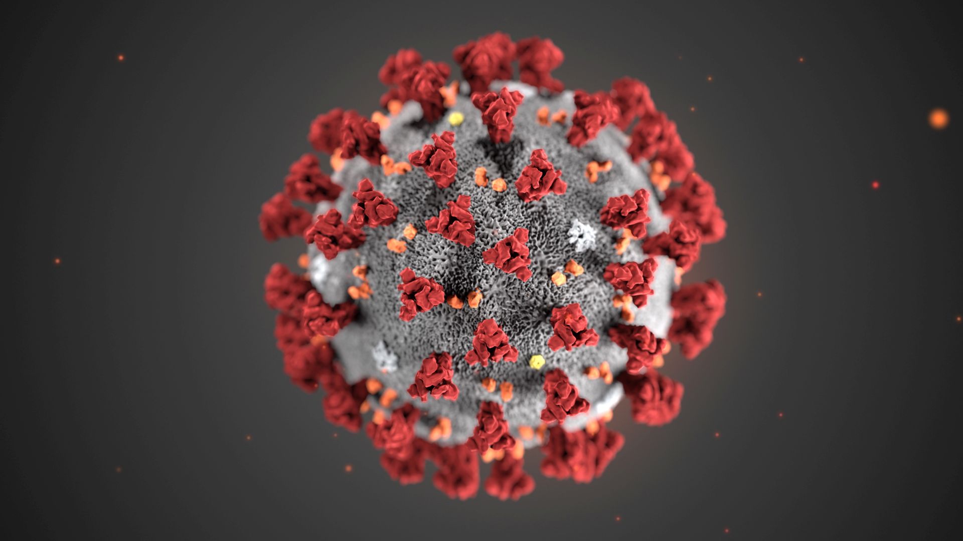 epa08181777 An undated handout photo made available by the Centers for Disease Control and Prevention (CDC) in Atlanta, Georgia, USA (issued 31 January 2020) of an illustration created at the CDC revealing ultrastructural morphology exhibited by the 2019 Novel Coronavirus (2019-nCoV). Note the spikes that adorn the outer surface of the virus, which impart the look of a corona surrounding the virion, when viewed electron microscopically. This virus was identified as the cause of an outbreak of respiratory illness first detected in Wuhan, Hubei Province, China.  EPA/CENTERS FOR DISEASE CONTROL AND PREVENTION HANDOUT  HANDOUT EDITORIAL USE ONLY/NO SALES