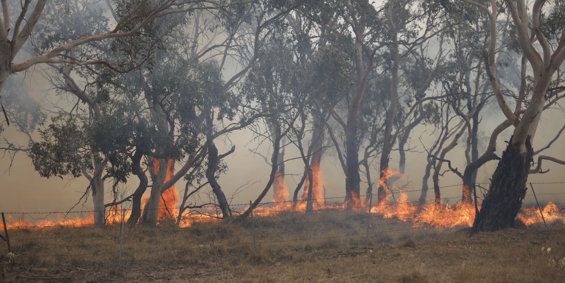 epa08186538 View of a fire that crossed the Monaro Highway, north of Bredbo, New South Wales (NSW), Australia, 02 February 2020. The Clear Range Bushfire continues to burn in soaring temperatures and unpredictable wind changes.  EPA/SEAN DAVEY AUSTRALIA AND NEW ZEALAND OUT