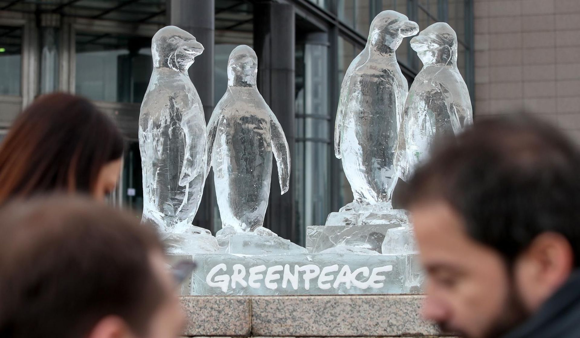 07.02.2020., Zagreb - U sklopu medjunarodne kampanje za zastitu oceana, jedne od najvecih u povijesti Greenpeacea, Zagreb se pridruzio globalnoj akciji koja ce se u iducih nekoliko dana odrzati u dvadesetak zemalja svijeta, prilikom koje su izlozili ledenu skulpturu pingvina ispred zgrade Nacionalne i sveucilisne knjiznice, sredisnjem mjestu hrvatskog predsjedanja Vijecem EU. Skulptura pingvina od leda topljenjem ce simbolicki ukazati na sve pogubnije posljedice klimatskih promjena te vaznu ulogu oceana u njihovom ublazavanju.
Photo: Igor Kralj/PIXSELL