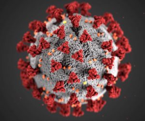 epa08295338 A handout illustration made available by the Centers for Disease Control and Prevention (CDC), shows 'ultrastructural morphology' of the coronaviruses, issued 15 March 2020. The novel coronavirus, named Severe Acute Respiratory Syndrome coronavirus 2 (SARS-CoV-2) was identified as the cause of an outbreak of respiratory illness first detected in Wuhan, China, in 2019. The illness caused by this virus has been named coronavirus disease 2019 (COVID-19).  EPA/CDC HANDOUT  HANDOUT EDITORIAL USE ONLY/NO SALES