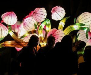 Zagreb: Festival svjetla na Gornjem gradu. 22.03.2019., Zagreb - Festival svjetla na Gornjem gradu.
Photo: Jurica Galoic/PIXSELL