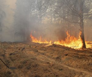 epa08357554 A forest fire burns near the village of Ragovka, close to the exclusion zone around the Chernobyl nuclear power plant, Ukraine, 10 April 2020 (issued 11 April 2020). Officials have been fighting fires in the exclusion zone since 04 April 2020. In early April 2020, NASA satellites observed several wildfires in northern Ukraine around the Chornobyl Exclusion Zone as local media report. Hundreds of firefighters and at least eight airborne units were working to extinguish fires in the Denysovets, Kotovsky, and Korogodsky forests, NASA's Earth Observatory reports. The territory is a long-vacated area near where an explosion at the Chernobyl Soviet nuclear plant in April 1986 sent a plume of radioactive fallout high into the air and across swaths of Europe.  EPA/STR