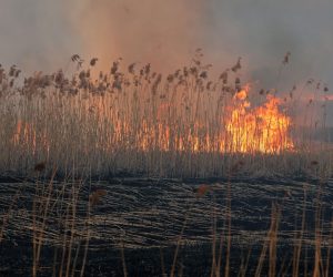 epa08378400 General view of a meadow in flames at the Biebrza National Park near Wrocen, northeastern Poland 22 April 2020. According to reports, about  6,000 hectares of meadows and forests in the Biebrzanski National Park have been affected by a fire.  EPA/ARTUR RESZKO POLAND OUT