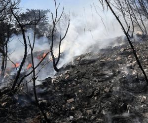 07.04.2020., Bakar - Sumski pozar koji je prijepodne izbio na podrucju izmedju Bakra i Urinja stavljen je pod kontrolu djelatnika Javne vatrogasne postrojbe Rijeka.
Photo:Goran Kovacic/PIXSELL