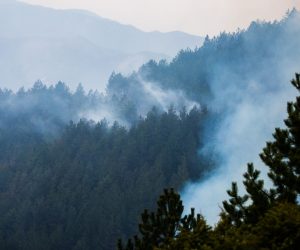 11.04.2020.,Konjic, BiH - Tri kilometra od centra Konjica, u mjestu Ovcari, izbio je veliki pozar u borovoj sumi koji se siri velikom brzinom i prijeti naselju.
Photo: Denis Kapetanovic/PIXSELL