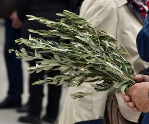 14.04.2019., Sibenik - Povodom velikog katolickog  blagdana Cvjetnice i ulaska u Veliki tjedan biskup Tomislav Rogic blagoslovio je maslinove grancice.
Photo: Hrvoje Jelavic/PIXSELL